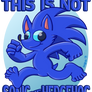 This Is Not Sonic the Hedgehog