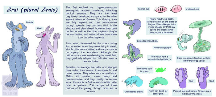 Zrai Species Reference Sheet