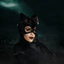 Catwoman Poster