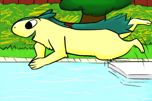 Typhlosion swim