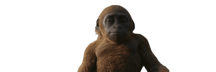 Suko Transparent by RetroCultForever on DeviantArt