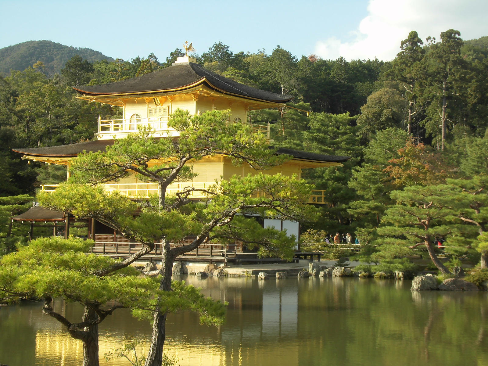 Kinkakuji Gold Pavillon