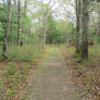 Out in Nature