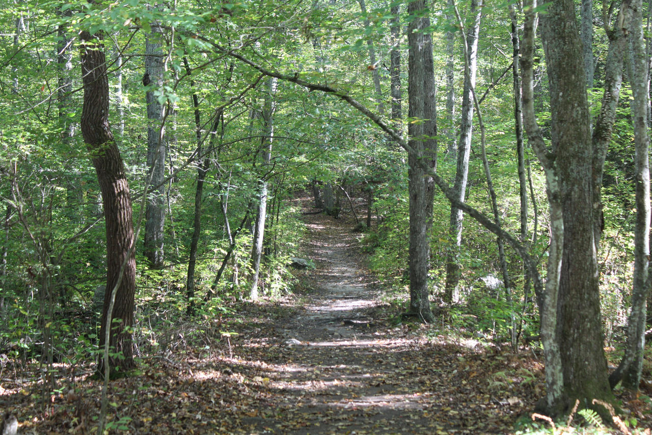 Out in nature
