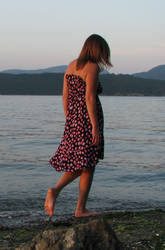 Polkadot Sun Dress