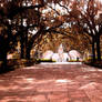 Forsyth Park