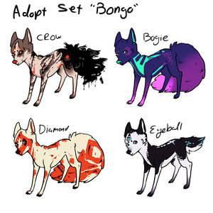 Adopt Set 'Bongo' - Closed