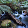 Waters of Tasmania