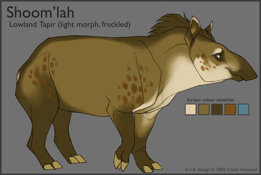 Shoomlah model sheet v. 3.0