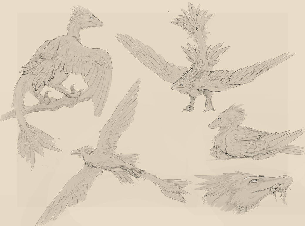 Winged raptor sketchbook by SkitterTeeth on DeviantArt