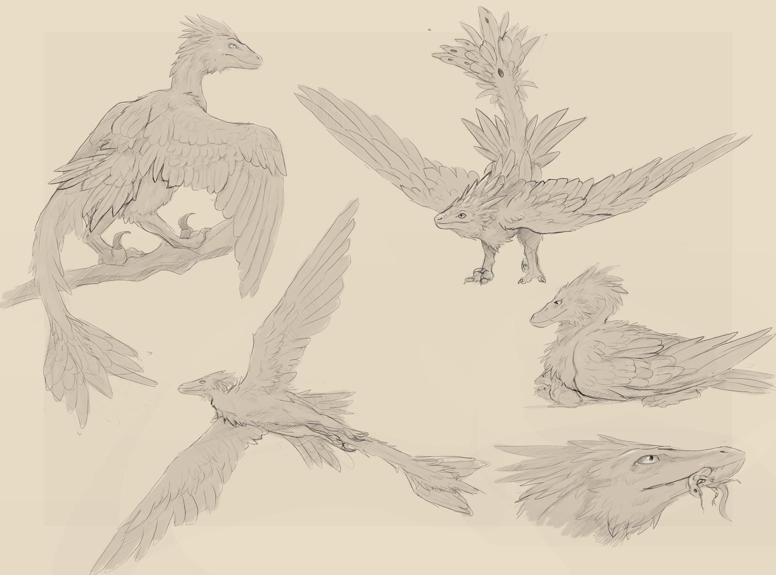 Winged raptor sketchbook by SkitterTeeth on DeviantArt