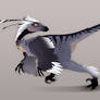 Troodon adoptable auction lcosed