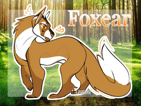 Foxear