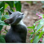 Smelling the Flower