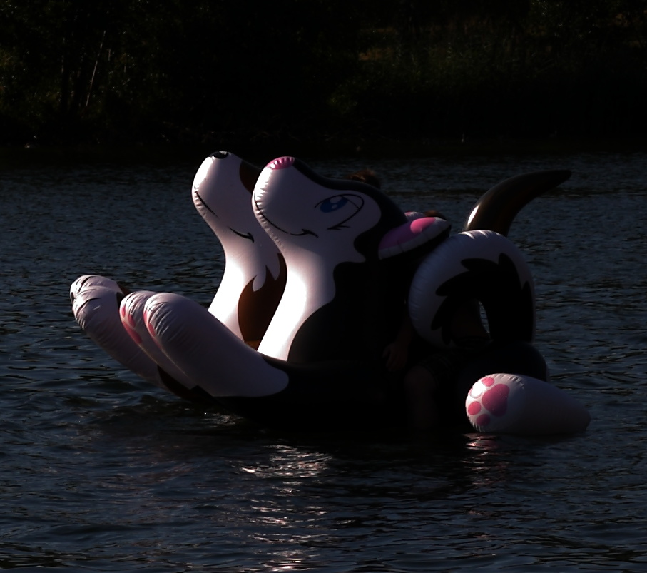 Puffypaws inflatables