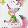 STV ID