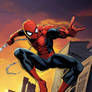 Spider Man: Reilly Brown