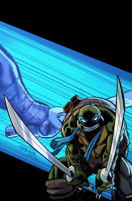 Teenage Mutant Ninja Turtles #8 Cover