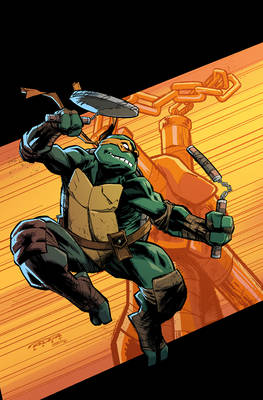 Teenage Mutant Ninja Turtles #9 Cover