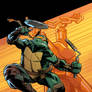 Teenage Mutant Ninja Turtles #9 Cover