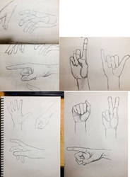 hand study