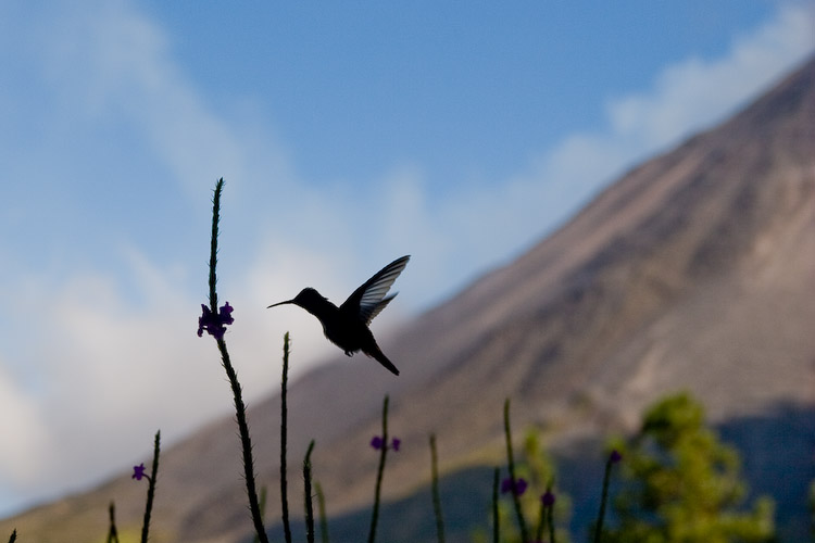 Costa Rica - 0249