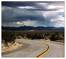 Joshua Tree - 5009