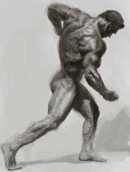 Bodybuilder sketch