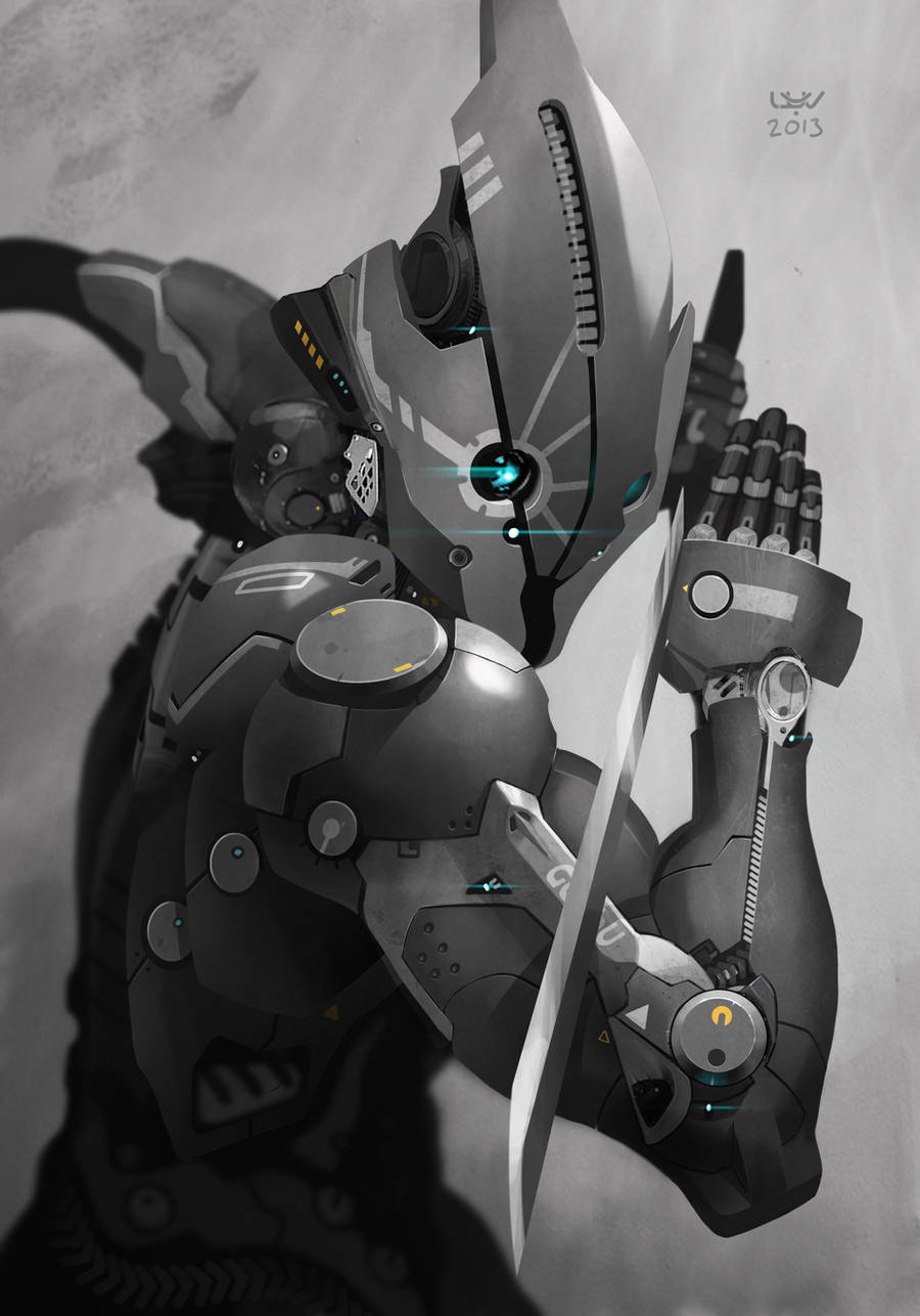 -- Cymurai 11 -- by yvanquinet