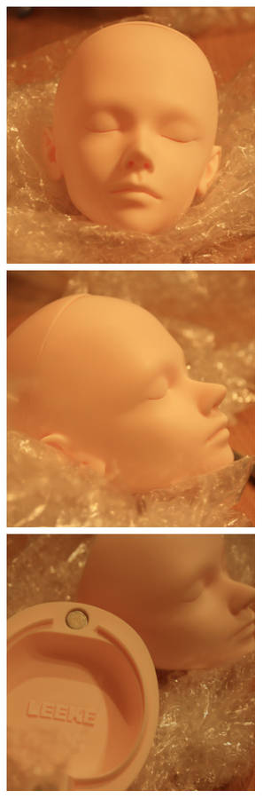 New BJD Head