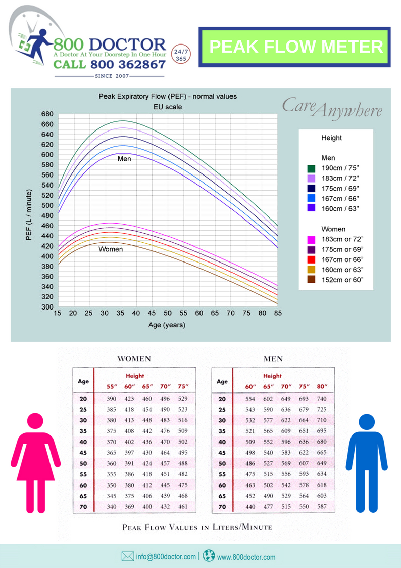 File Normal Values For Peak Expiratory Flow EU Wikipedia 40 OFF file-normal-values-for-peak-expiratory-flow-eu-wikipedia-40-off