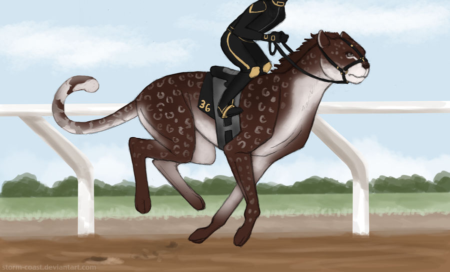 Bashira Track Training by Storm-Coast