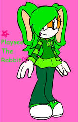 Playsee The Rabbit New Stile