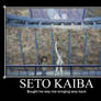 Seto Kaiba