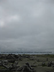 washington coast 3 haiga