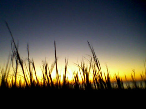 Sunrise over the dunes