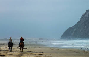 The other California dream by DontEverLookDown The other California dream by DontEverLookDown