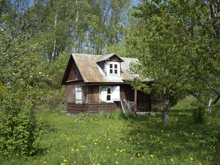 wooden house