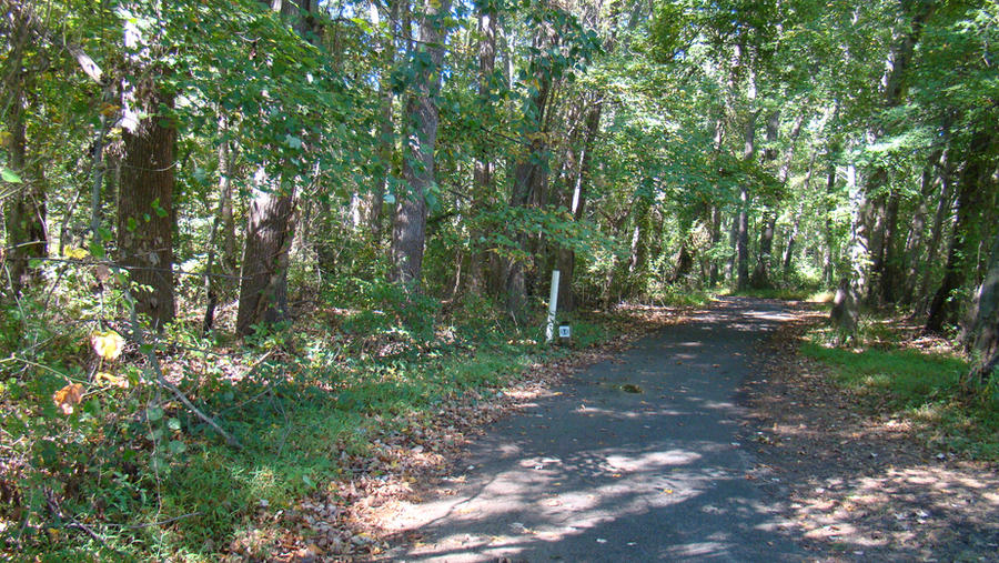 Deep Path Park Park Path by dmatlof on DeviantArt