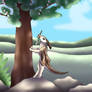Neve - Aging Quest #2