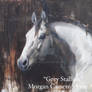 Grey Stallion Painting Watermark