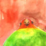 Parrot. Angle from below