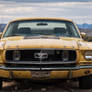 Old abandoned yellow Ford Mustang