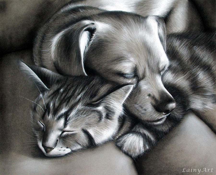 Roxy and Dash - Charcoal Commission