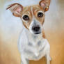 Terrier - Pastel Commission