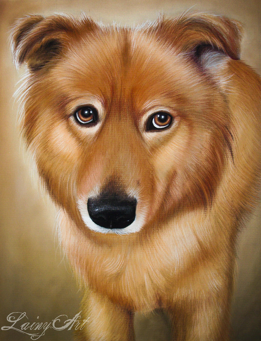 Duke - Pastel Commission