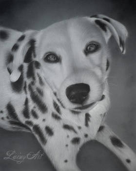 Sadie - Charcoal Commission