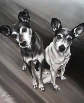 Amy's Duo - charcoal commission