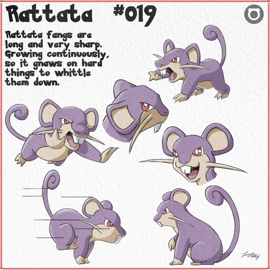 Pokemon 019 Rattata by Tommy-Slattery on DeviantArt