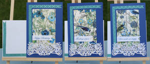 Blue Bird and Poppy Card Set